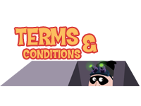 Terms & Conditions